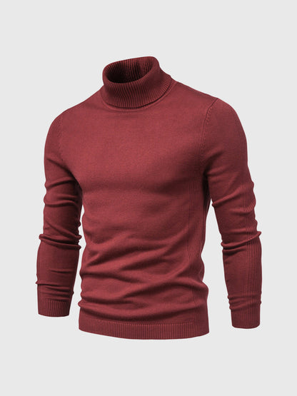 DAVARO – Jersey de hombre de cuello alto slim fit con diseño elegante