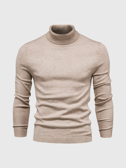 DAVARO – Jersey de hombre de cuello alto slim fit con diseño elegante