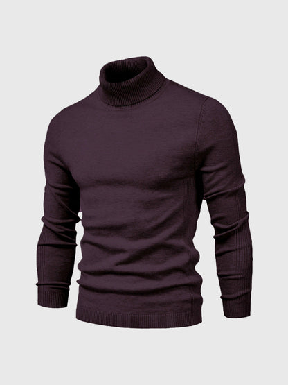 DAVARO – Jersey de hombre de cuello alto slim fit con diseño elegante